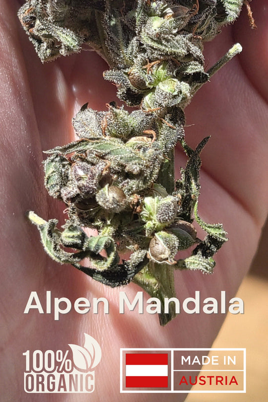 Alpen Mandala