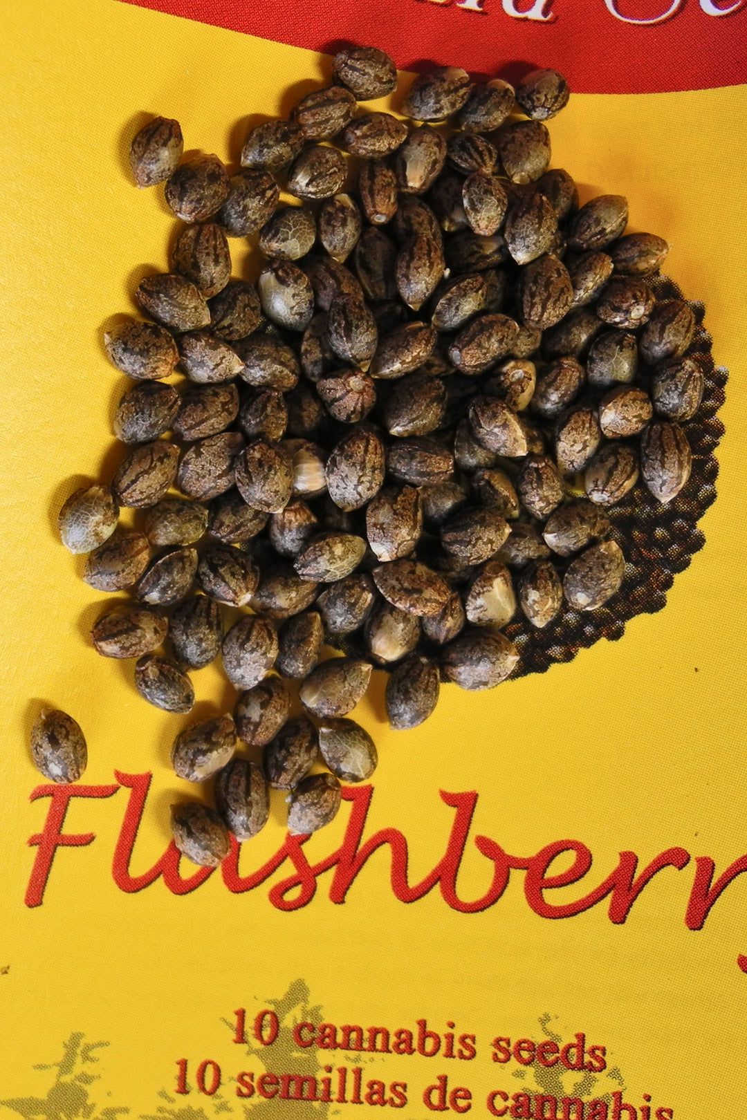 Flashberry