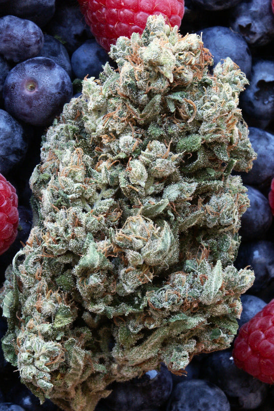 Hashberry