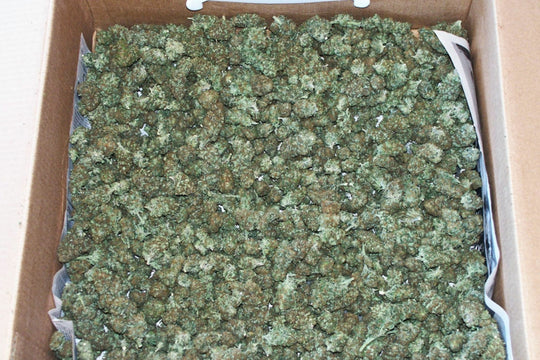 Hashberry