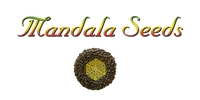 Mandala Seeds