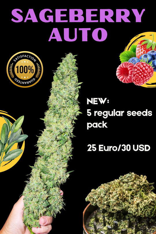 Sageberry Auto