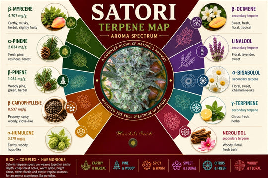 Satori (Edición femizada)